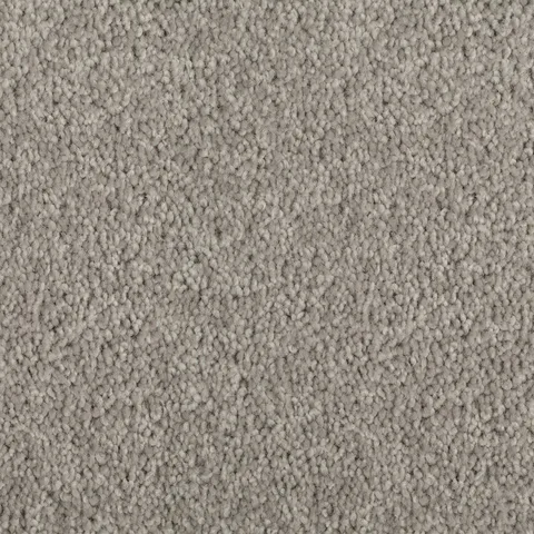 Asteroid carpet swatch